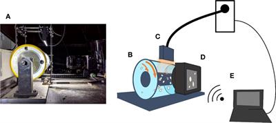 Cohesive bond strength of marine aggregates and its role in fragmentation